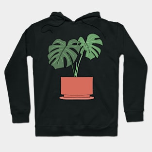 Monstera Deliciosa Houseplant in a terracotta pot Hoodie